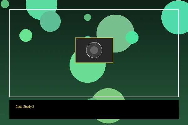 大型综艺节目全程拍摄制作案例展示
